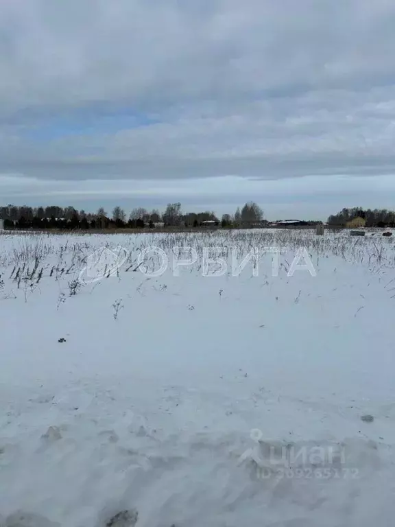 Участок в Тюменская область, Тюменский район, с. Червишево  (280.0 ... - Фото 0