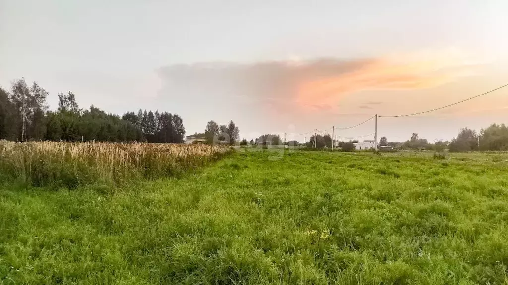 Участок в Ярославская область, Ярославский муниципальный округ, д. ... - Фото 1