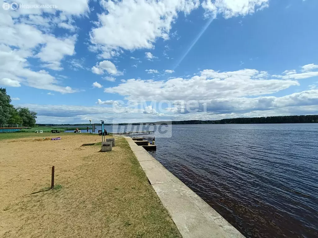 Участок в село Игнатово, 24 (13.5 м) - Фото 2