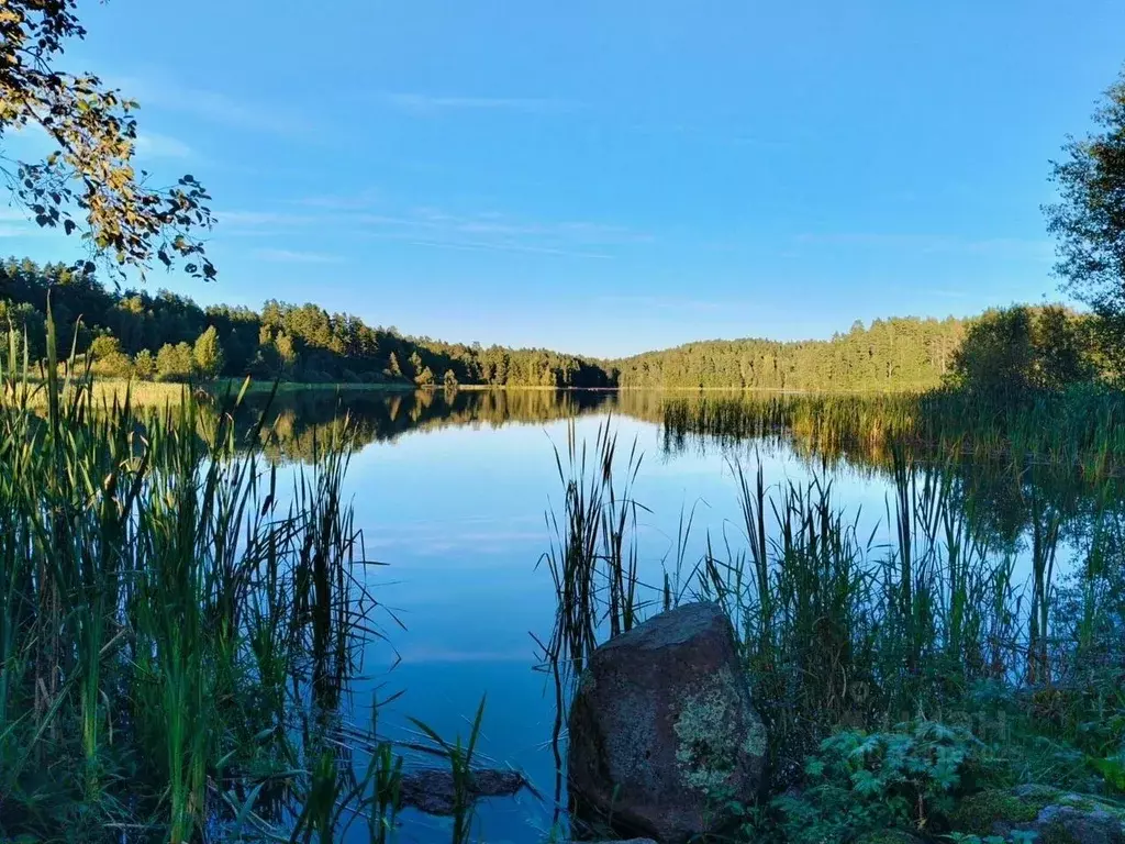 Дом в Ленинградская область, Лужский район, Ретюнское с/пос, д. ... - Фото 1