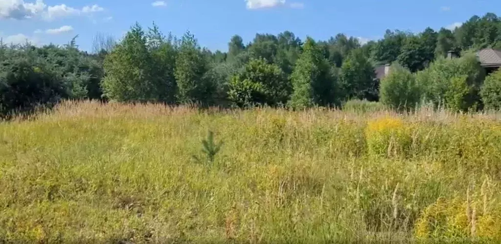 Участок в Московская область, Щелково городской округ, д. Аксиньино ... - Фото 0