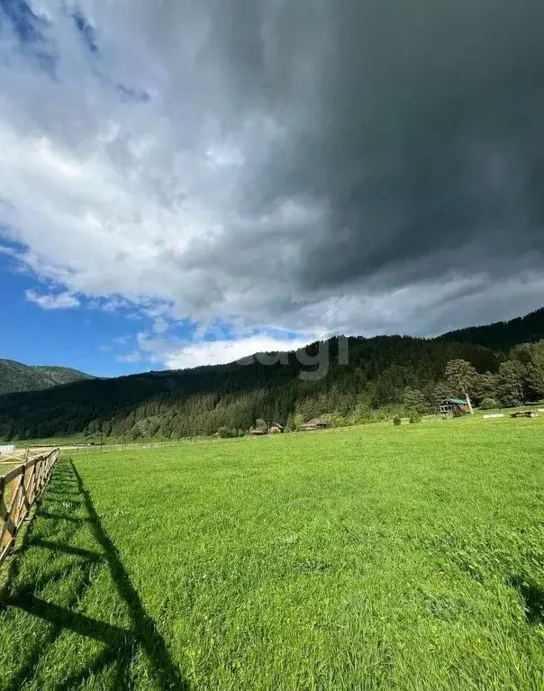 Участок в Алтай, Чемальский район, с. Чепош  (12.66 сот.) - Фото 0