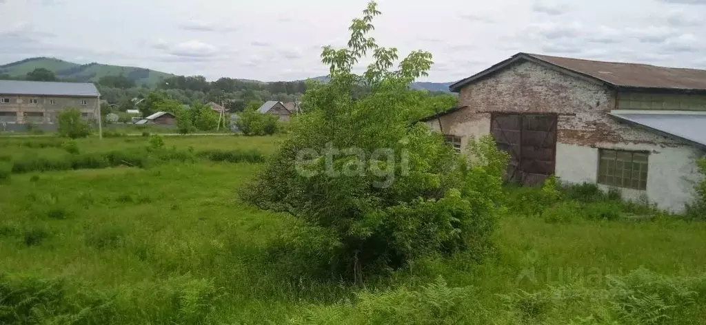 Производственное помещение в Алтайский край, Алтайский район, с. Ая ... - Фото 1