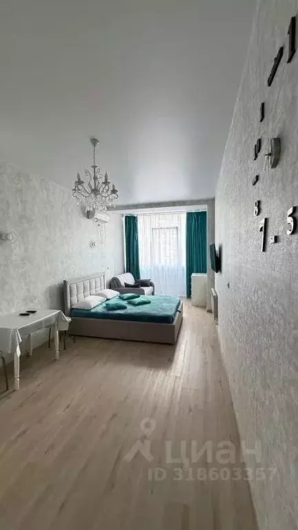Студия Краснодарский край, Геленджик Крымская ул., 22к1 (25.0 м) - Фото 0