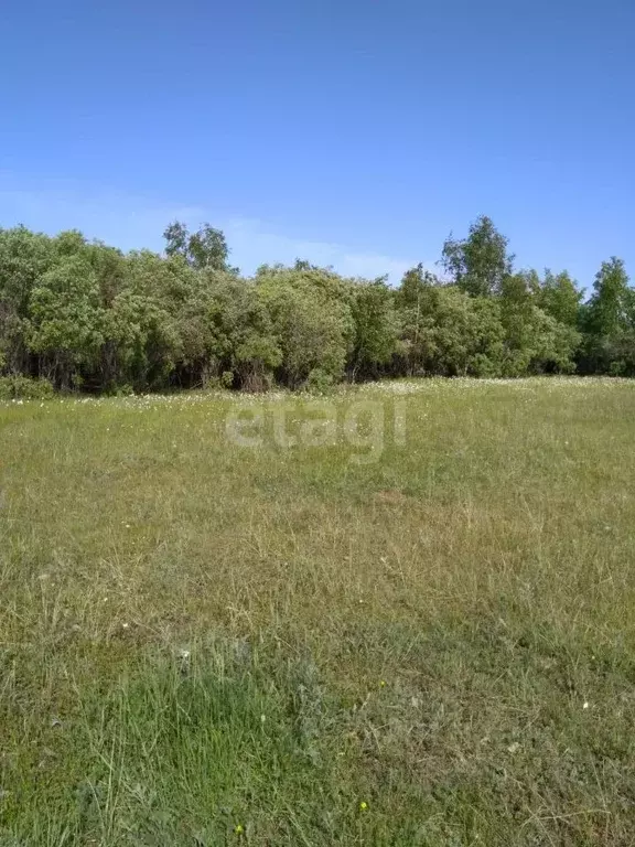 Участок в Саха (Якутия), Якутск городской округ, с. Тулагино  (10.5 ... - Фото 0