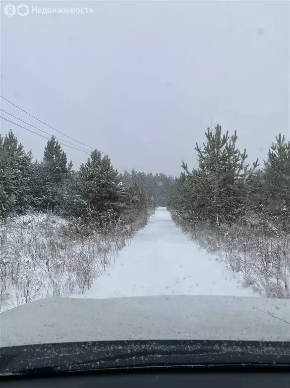 Участок в Красноярский край, Емельяновский муниципальный округ, ДНП ... - Фото 2