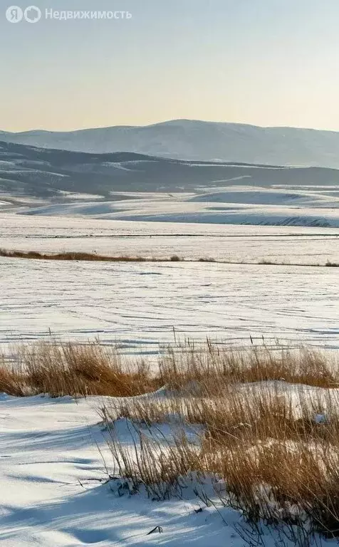 Участок в Смоленский район, село Черновая (2799.9 м) - Фото 0