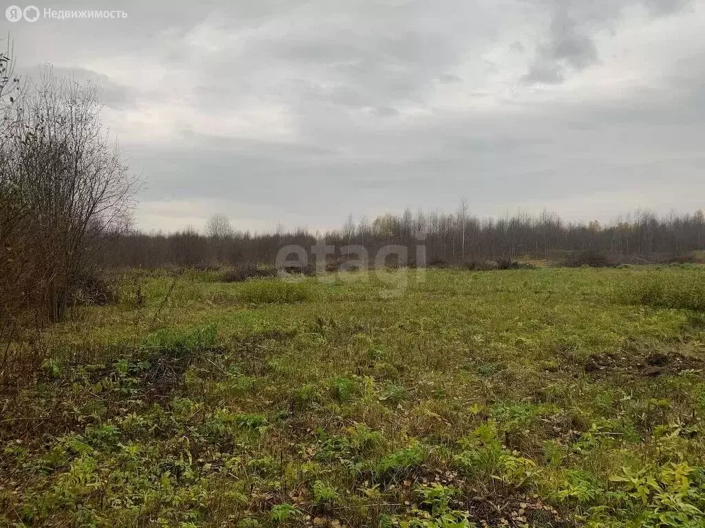 Участок в Костромской район, Самсоновское сельское поселение, деревня ... - Фото 2