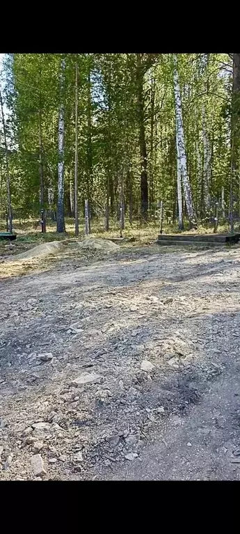 Участок 8,3 сот. (ИЖС) - Фото 1