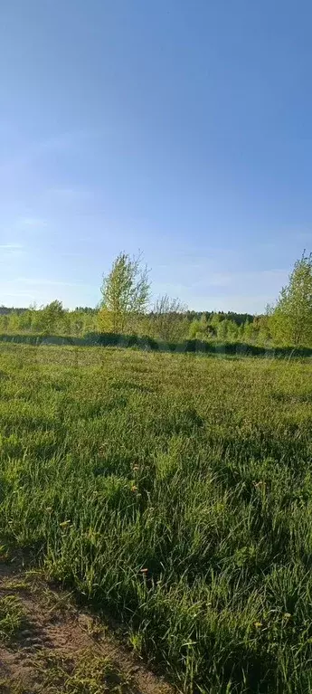 Участок 10 сот. (ИЖС) - Фото 0