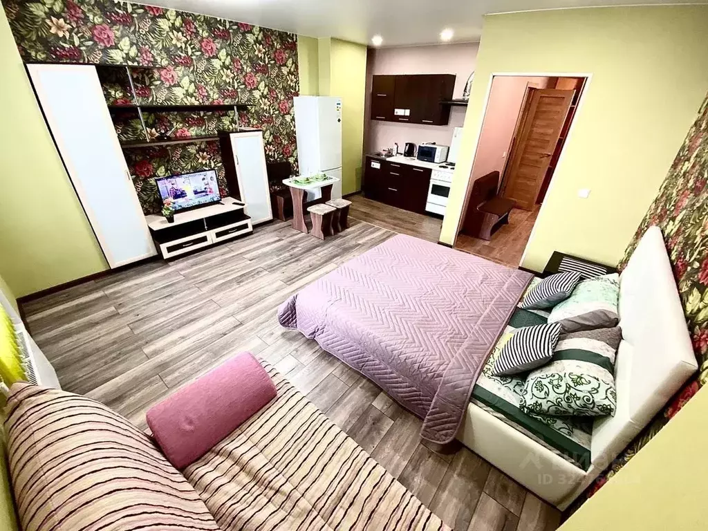 1-к кв. Алтайский край, Барнаул Пролетарская ул., 165 (23.0 м) - Фото 1