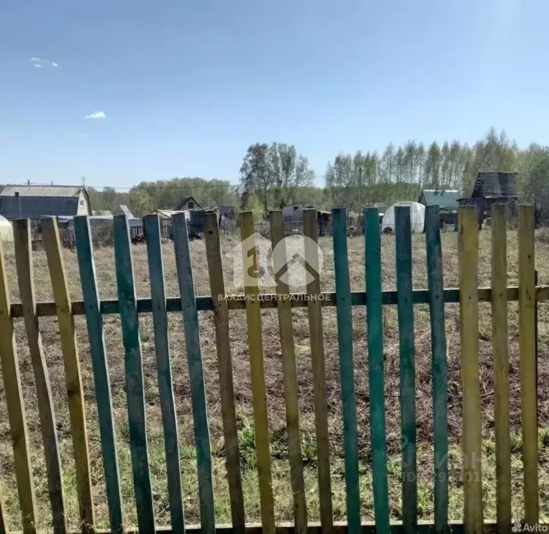 Участок в Новосибирская область, Бердск Ива СНТ, ул. 13-я, 20 (5.83 ... - Фото 2