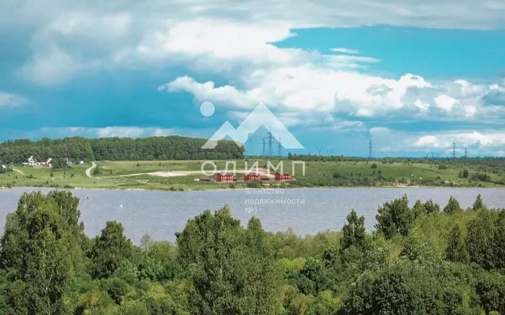 Участок в Вологодская область, Устюженский район, д. Мережа пер. ... - Фото 2