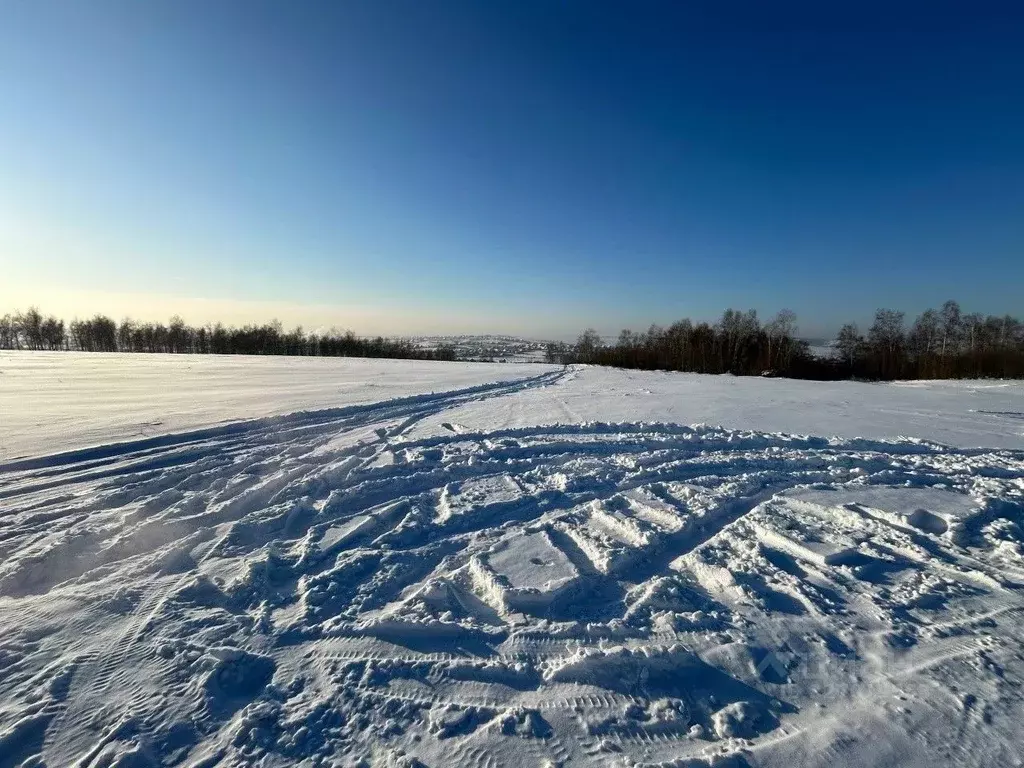 Участок в Иркутская область, Иркутский муниципальный округ, д. ... - Фото 1