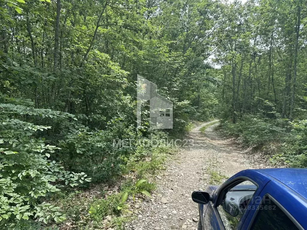 Участок в Краснодарский край, Геленджик городской округ, с. ... - Фото 1