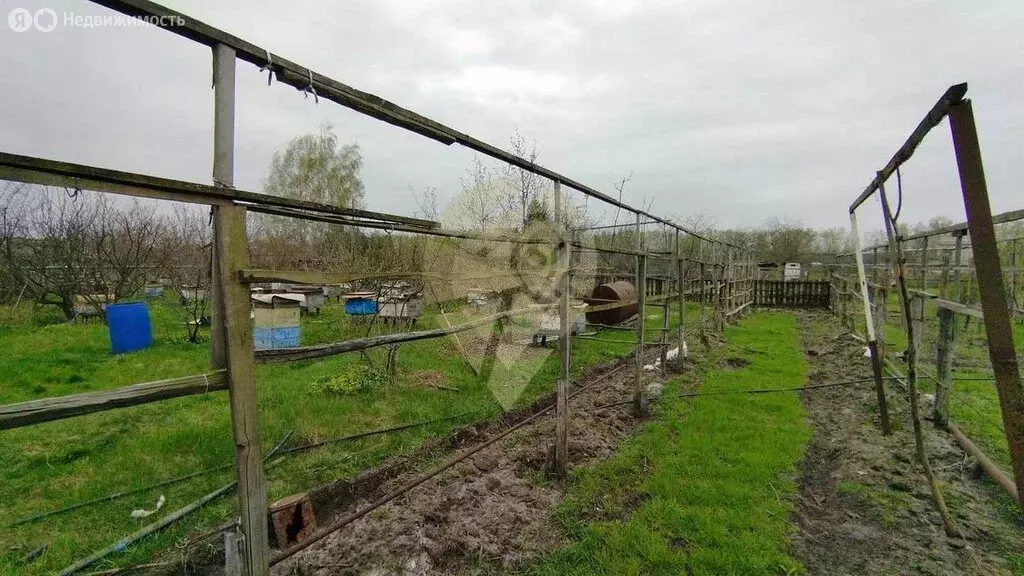 Участок в Старый Оскол, СНТ Залесье (20 м) - Фото 1