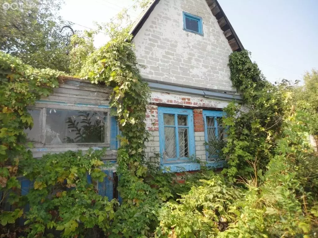 Дом в Приморский край, Яковлевский муниципальный округ (30 м) - Фото 1