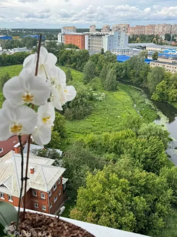 1-к кв. Московская область, Ивантеевка Пушкинский городской округ, ... - Фото 0