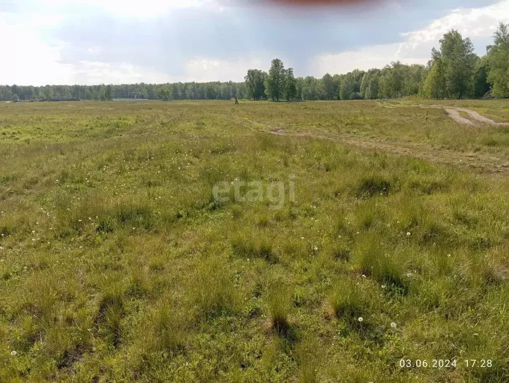 участок в челябинская область, сосновский район, кременкульское с/пос, . - Фото 0