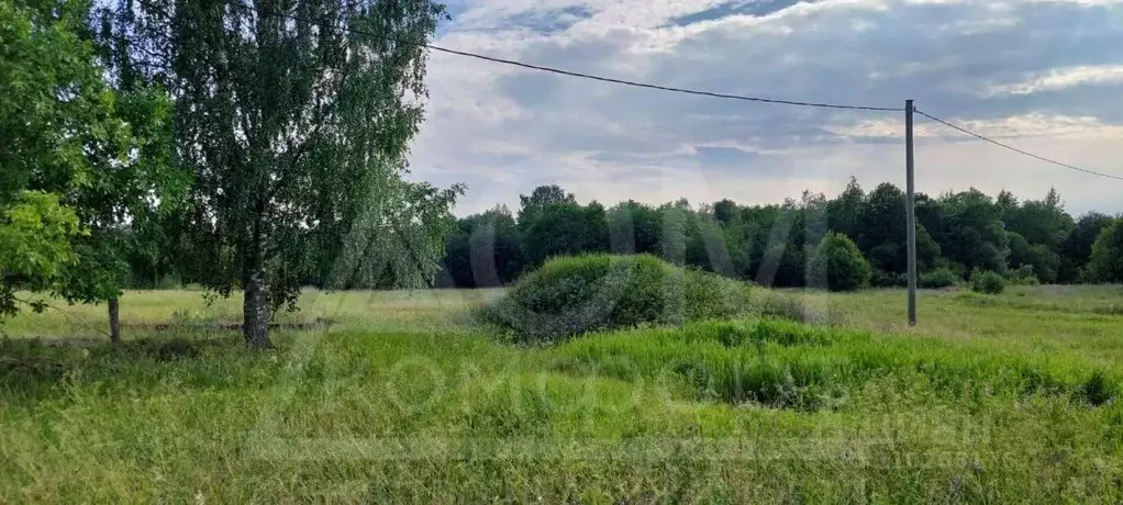 Участок в Ленинградская область, Приозерский район, Ромашкинское ... - Фото 0