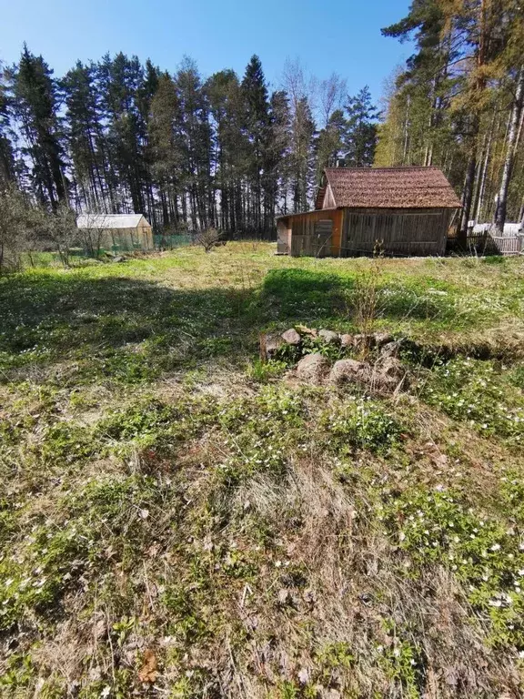 Дом в Ленинградская область, Выборгский район, Приморское городское ... - Фото 1