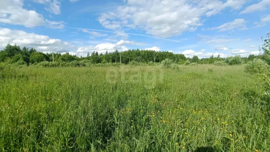 Участок в Костромская область, Кострома проезд Кружевной, 61 (7.47 ... - Фото 1