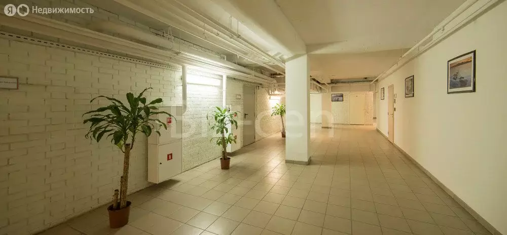 Офис (56.3 м) - Фото 1