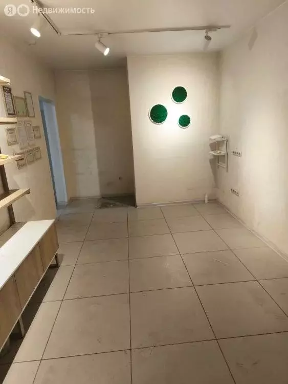 1-комнатная квартира: Абакан, улица Итыгина, 8 (29 м) - Фото 2