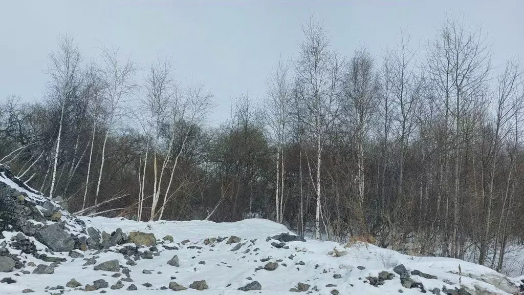 Участок в Хабаровский край, Хабаровский район, с. Ракитное  (66.0 ... - Фото 1