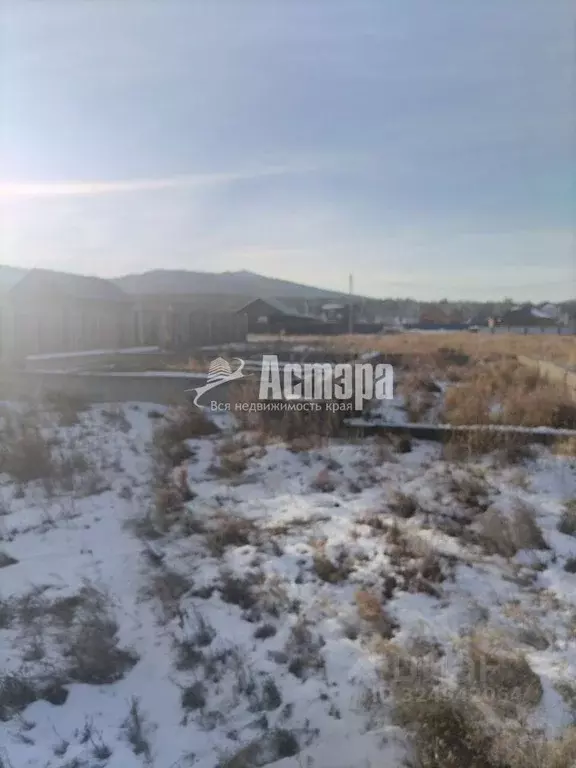 Участок в Забайкальский край, Чита ул. Жасминовая, 8 (8.11 сот.) - Фото 2
