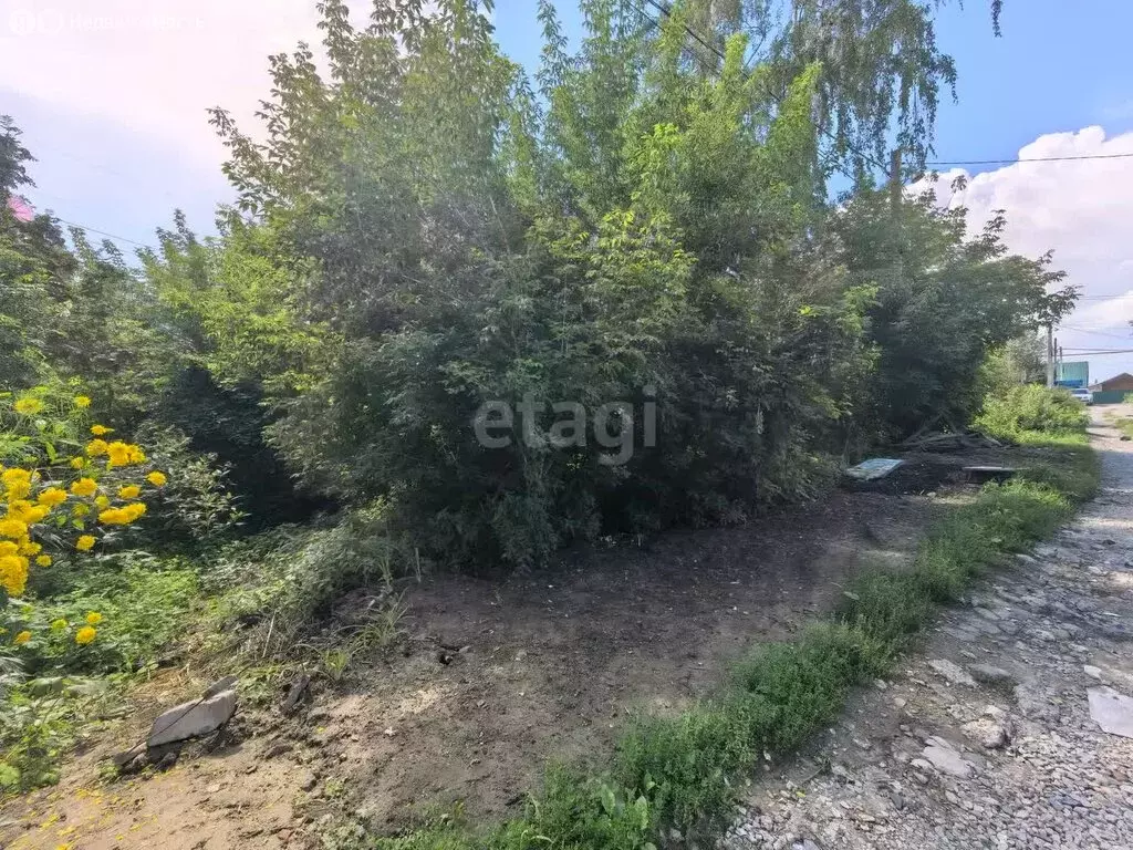 Участок в Новосибирск, Заельцовский район (3.6 м) - Фото 0