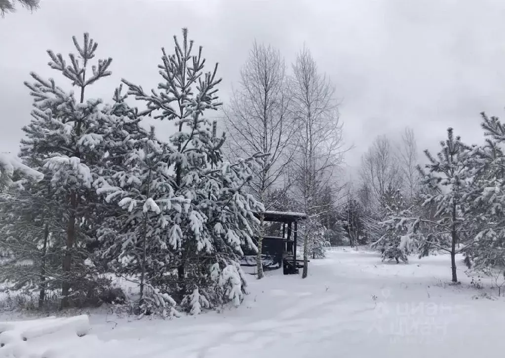 Участок в Московская область, Чехов городской округ, пос. Луч  (6.0 ... - Фото 1