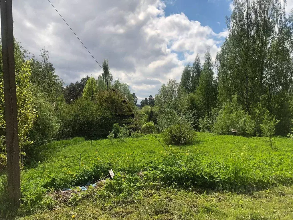 Участок, 10 сот., сельхоз (снт или днп) - Фото 2