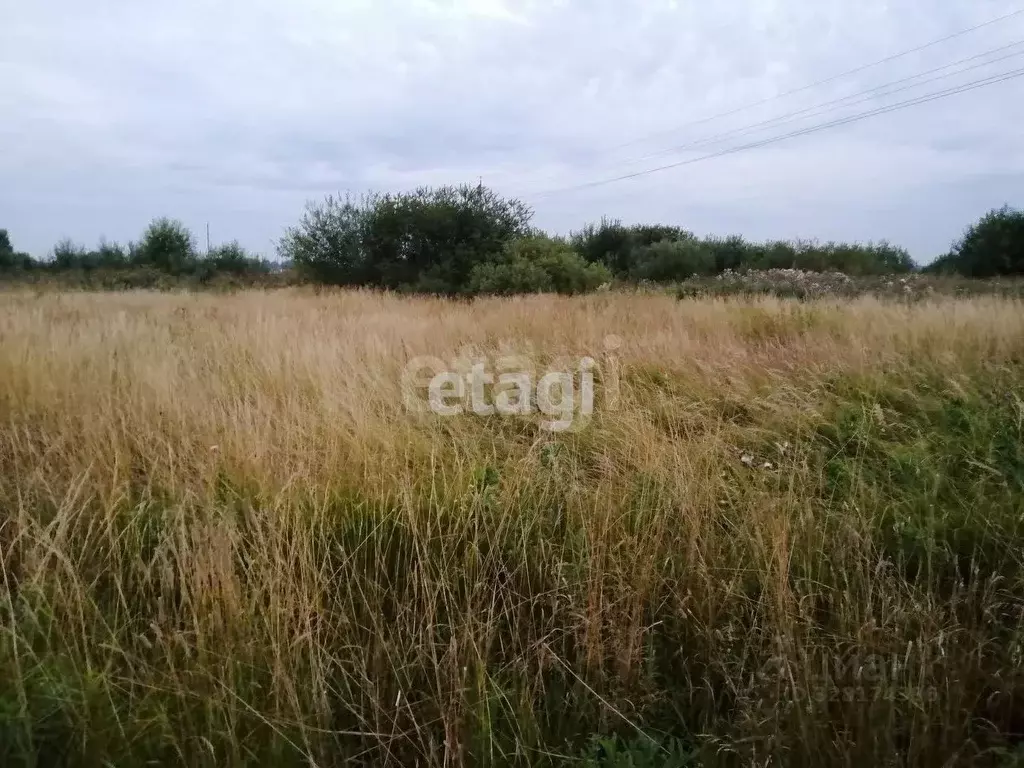 Участок в Костромская область, Кострома  (445.0 сот.) - Фото 1