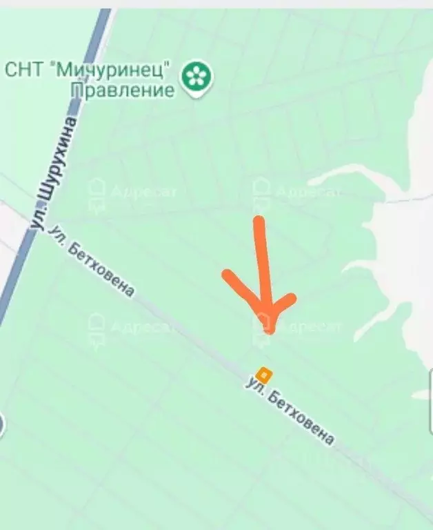 Участок в Волгоградская область, Волгоград Дзержинец СНТ, ... - Фото 1