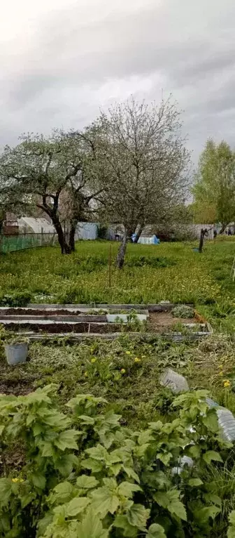 Участок в Московская область, Солнечногорск городской округ, д. ... - Фото 1