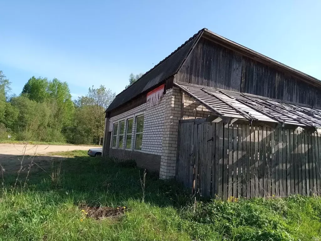 Торговая площадь в Тверская область, Пеновский муниципальный округ, д. ... - Фото 2