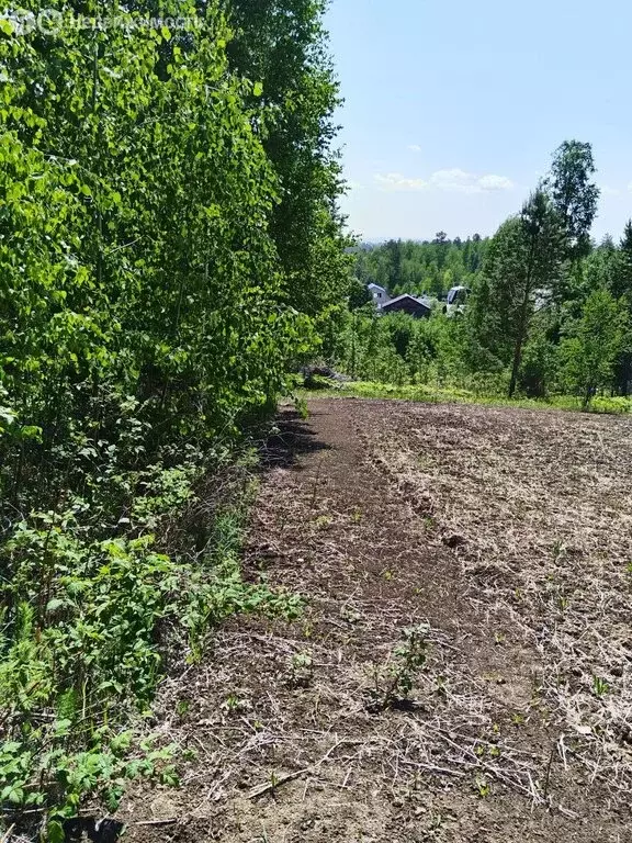 Участок в Иркутский муниципальный округ, СНТ Ивушка, Первая улица (8 ... - Фото 1