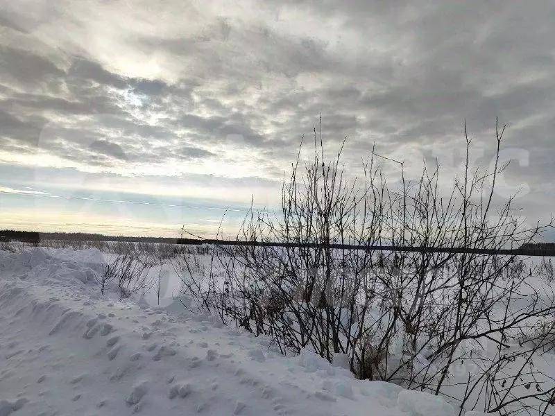 Участок в Тюменская область, Нижнетавдинский муниципальный округ, ... - Фото 2