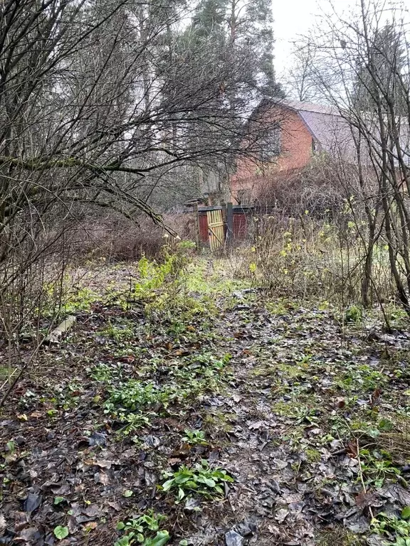 Участок в Московская область, Королев ул. Докучаева, 23 (8.7 сот.) - Фото 2