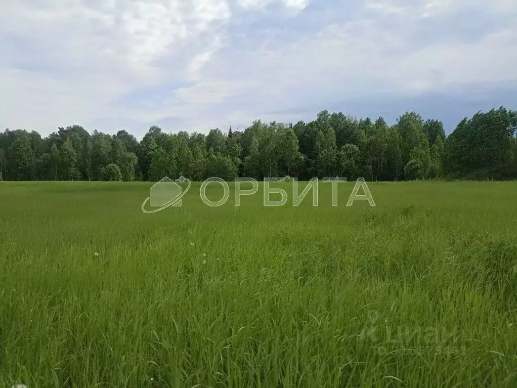 Участок в Тюменская область, Нижнетавдинский район, Геолог-2 СНТ  ... - Фото 0