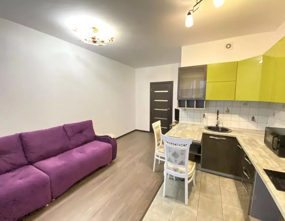 Студия Ленинградская область, Всеволожский район, пос. Бугры бул. ... - Фото 1