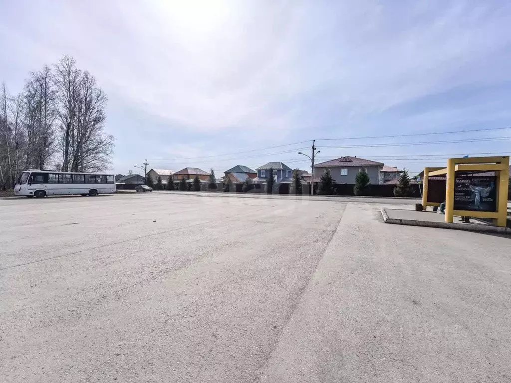 Участок в Новосибирская область, Новосибирский район, Каменский ... - Фото 1