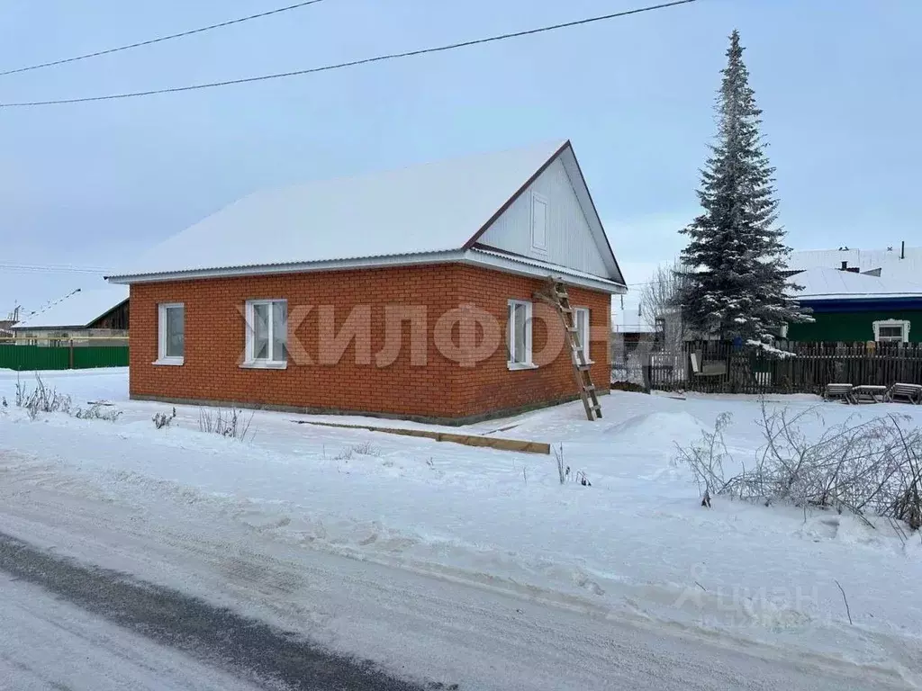 Дом в Новосибирская область, Коченевский район, с. Прокудское Базарная ... - Фото 2