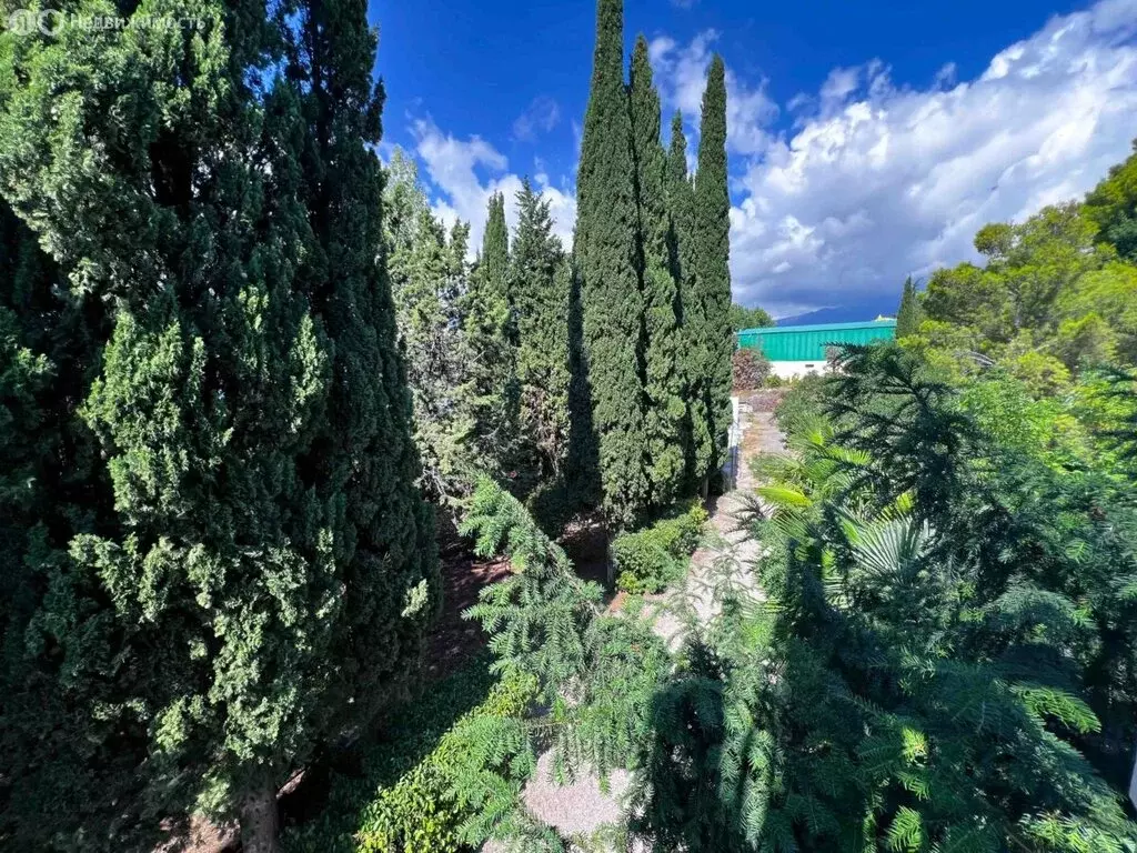 Участок в Малореченское, Виноградная улица, 1 (187.92 м) - Фото 1