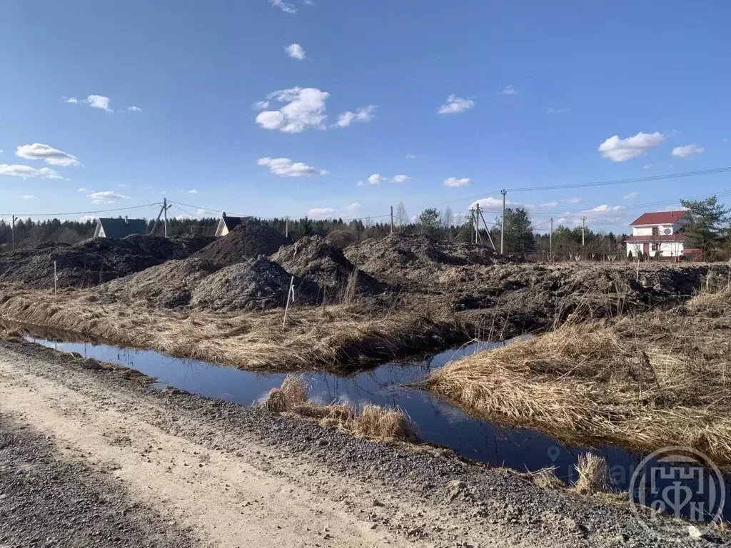 Участок в Ленинградская область, Тосненский район, Форносовское ... - Фото 2