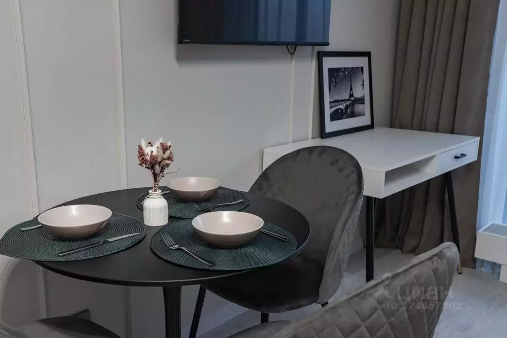 Студия Санкт-Петербург ул. Ультрамариновая, 5 (25.4 м) - Фото 2