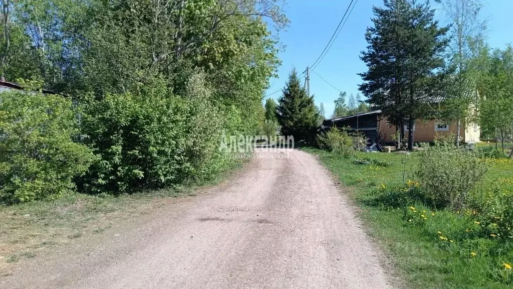 Участок в Ленинградская область, Выборгский район, Каменногорское ... - Фото 0