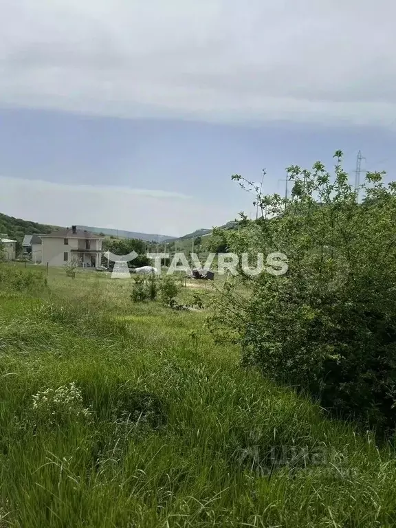 Участок в Ленинградская область, Лужский район, Мшинское с/пос, ... - Фото 2