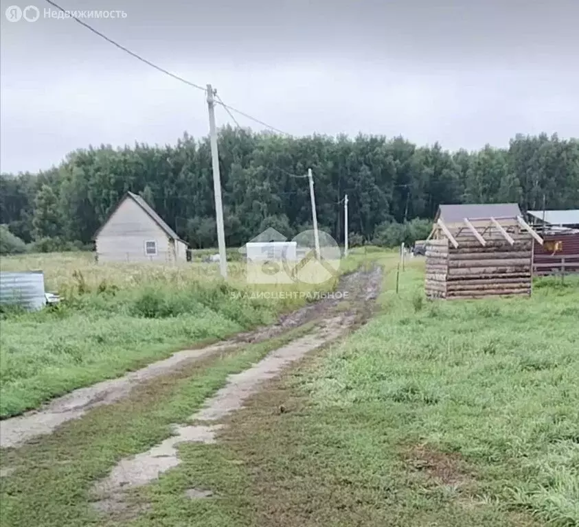 Участок в Ордынский район, Новопичуговский сельсовет (12.49 м) - Фото 0